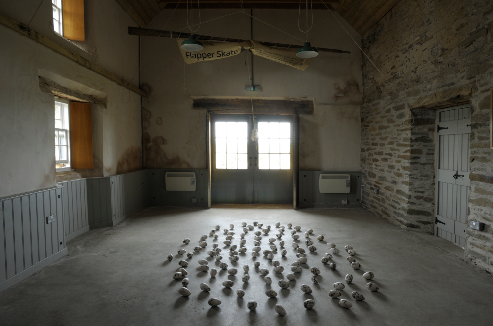 Exhibition of replica great auk eggs, arranged in a circle on the floor of a gallery.