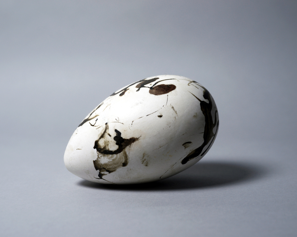 Photograph of a replica great auk egg.