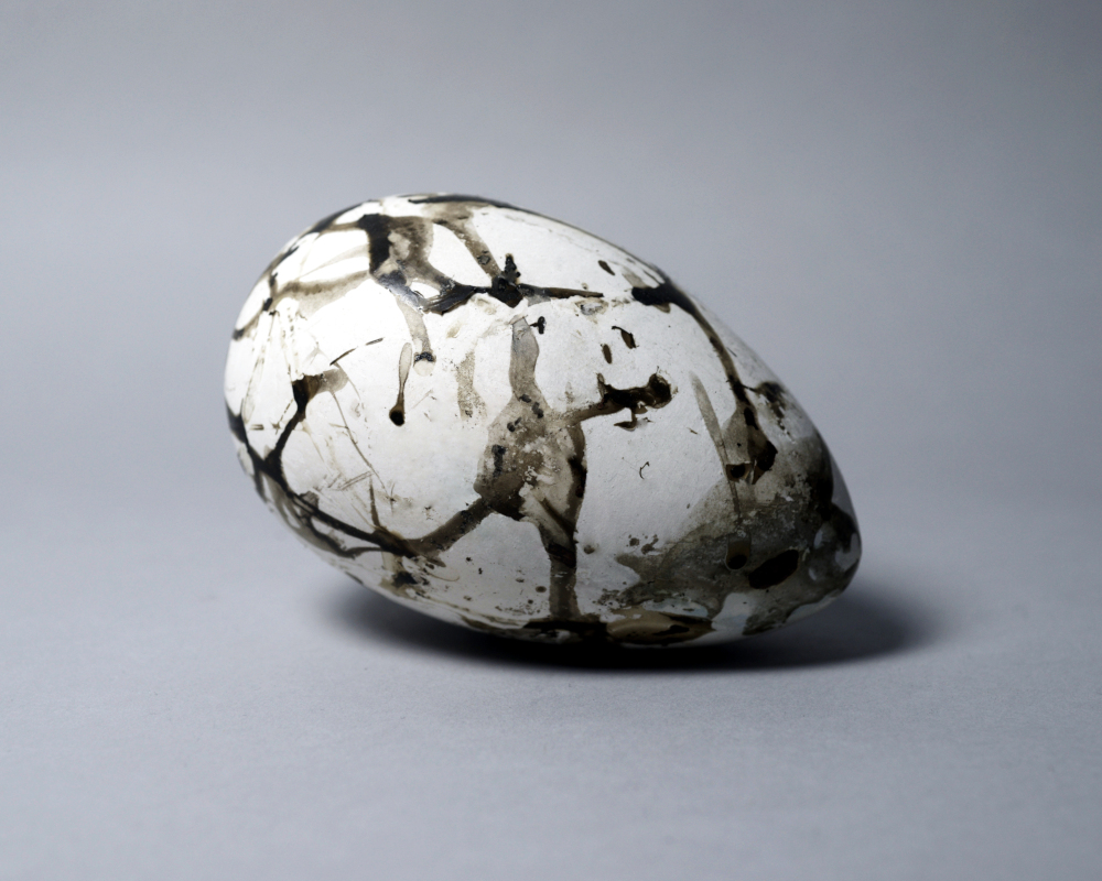Photograph of a replica great auk egg.
