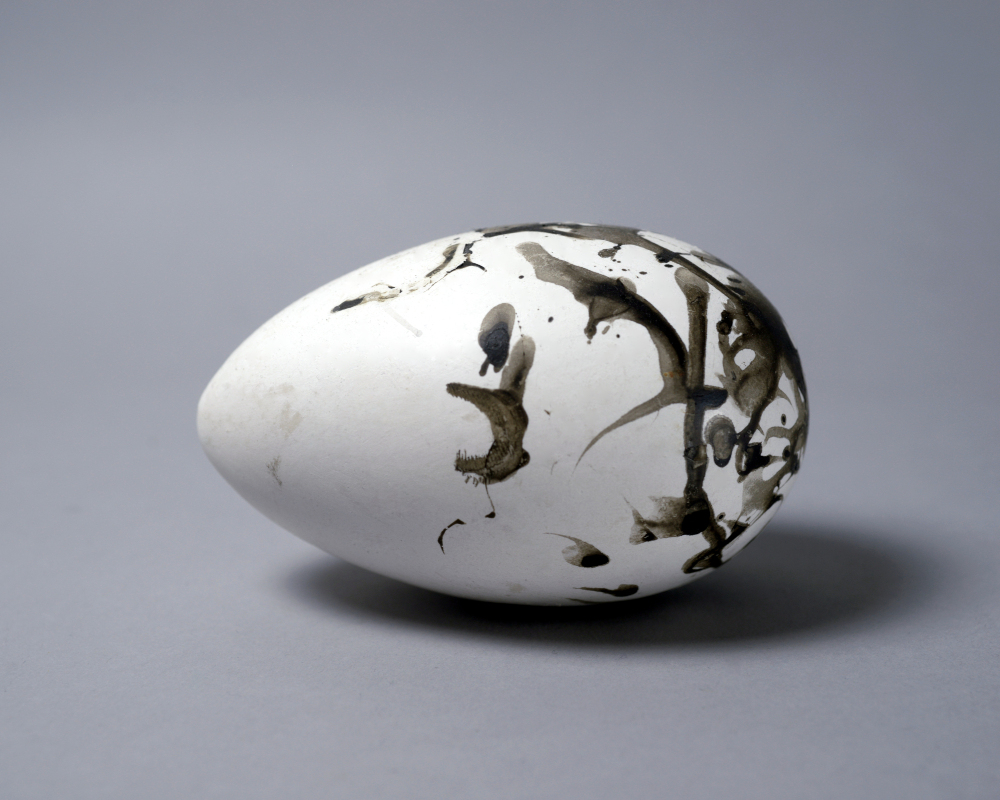 Photograph of a replica great auk egg.